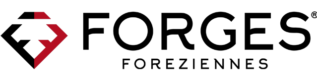 Logo Forge FOREZIENNE